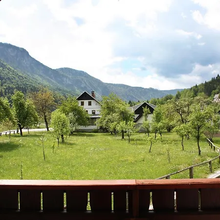 Apartma Dolinar Bled